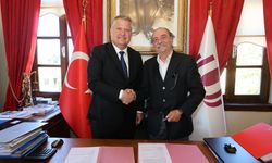 Balıklıova’da yüzler gülüyor: Üreticiye can suyu zeytin oldu