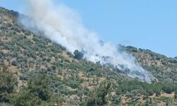 İzmir'de zeytinlik alanda korkutan yangın