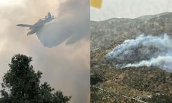 Bayındır’da zeytinlik yangını 2,5 saatte kontrol altına alındı