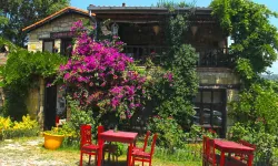 Ne İzmir ne de Muğla: Ege'de taş evleri, sardunyalarla süslü sokakları ile baş döndüren güzellikte bir köy
