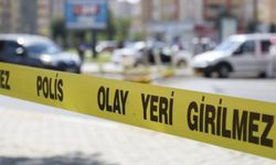 Yolun karşısına geçmeye çalışırken can verdi