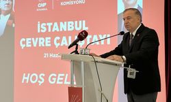 CHP'li Zeybek'ten zeytinlikleri madenciliğe açacak kanun teklifine tepki