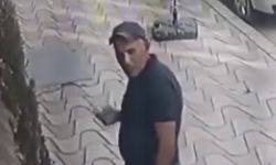 Asılsız iddia şiddete dönüştü: Kediye zarar vermedi!