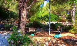 Türkiye'de tek: Atatürk Botanik Bahçesi nerede? Dikili Atatürk Botanik Bahçesi'ne nasıl gidilir?