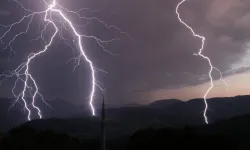 Yağmurdan korunmak için ağacın altına sığındılar: Yıldırım çarptı, 5 kişi yaralandı