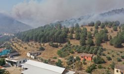 Aydın'da korkutan yangın: Havadan ve karadan müdahale devam ediyor