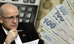 Bakanlık temettü gelirleri için düğmeye bastı: 3,6 milyar TL beyan edilmedi