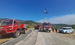 Balıkesir'deki orman yangını 17 saatten fazla sürdü