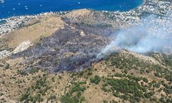 Bodrum'da yangın devam ediyor: Bir kişi gözaltına alındı