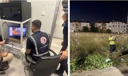 Boş araziye kilolarca salatalık atılmıştı: Bakanlıktan ilk açıklama