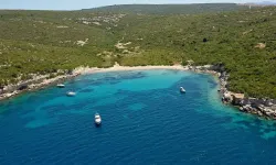 Çamcaz Koyu nerede? Çamcaz Koyu'na nasıl gidilir?