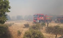 Tarım arazisinde korkutan yangın: Ekipler seferber oldu