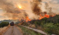 Çanakkale'de 11 orman yangını çıktı: 6 şüpheli gözaltında