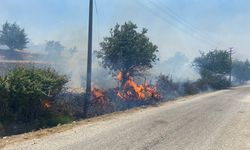 Çanakkale'deki yangın ormana sıçradı: Müdahale sürüyor