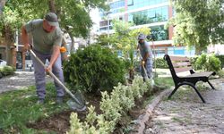 Bornova'da yeşil dönüşüm hamlesi: Parklara yeni sistem geliyor