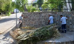 Çiğli'de bayram mesaisi: Temizlik ve denetim aralıksız sürüyor