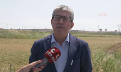 CHP'li Günaydın'dan Yeni Akit'in skandal 'Ferdi Zeyrek' paylaşımına tepki