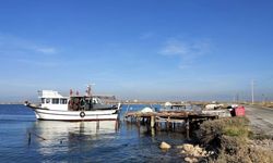 İzmir'de gözlerden uzak bir doğa harikası: Homa Dalyanı nerede? Nasıl gidilir?