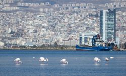 İzmir’in iklim eylemi çalışmaları Avrupa'da konuşuldu