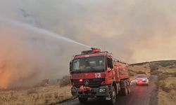 İzmir'de korkutan yangın: Yayılmadan müdahale edildi
