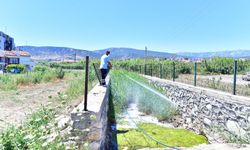 İzmir'de sinek artışı gündemde: Tugay’dan açıklama geldi