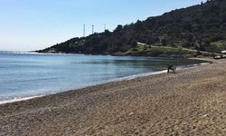 İzmir'de ulaşımı basit plaj: Ahmetbeyli Halk Plajı'na ESHOT ile nasıl gidilir?