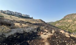 İzmir’de otluk alanda yangın: 1 hektar alan zarar gördü