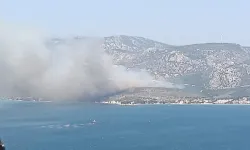 Karaburun'da yangın: Havadan ve karadan müdahale başladı