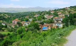 Ne boyoz ne de gevrek: İzmir'in gizli cennetinde yetişiyor, lezzeti ile coğrafi işaret almayı başardı