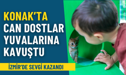 İzmir’de sevgi kazandı: Konak’ta can dostlar yeni yuvalarına kavuştu