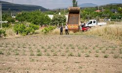 Bornova'da kurban atıkları gübreye dönüştü
