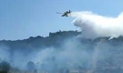 Kuşadası'nda korkutan orman yangını