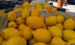 Vatandaş isyanda: Limonun tanesi 27 lira