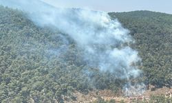 Manisa’da orman yangını: Müdahale sürüyor