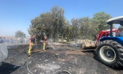 Manisa'da peş peşe 3 ayrı noktada yangın