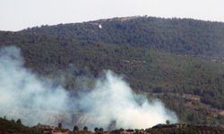 Muğla'da tarım arazisinde başlayan yangın ormana sıçradı