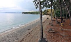 Piknik ve deniz keyfi bir arada: İzmir’e 2 saat uzaklıktaki doğal plaj