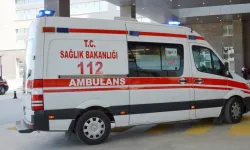 Piknikçilerin üzerine çardak çöktü: 2'si çocuk 4 yaralı