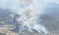 Söke’de zirai alanda yangın: 20 hektar zeytinlik zarar gördü