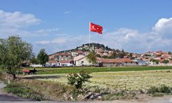 Türkiye’yi aştı, Avrupa’da ün kazandı: İzmir’in domatesiyle bilinen şirin köyü