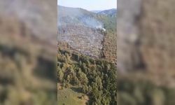 Balıkesir'de orman yangını: Müdahale devam ediyor