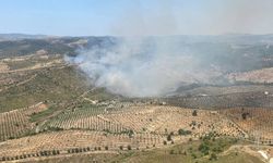 İzmir Seferihisar’da yangın: 3 uçak ve 4 helikopterle müdahale edildi