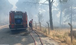İzmir’de bir yangın daha: Çevre köylerden seferberlik!