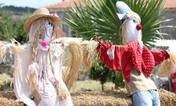 İzmir'in yaz kokulu köy festivali başlıyor: 8. Oyuk Festivali’ne hazır mısınız? Barbaros Köyü’ne ESHOT’la nasıl gidilir?