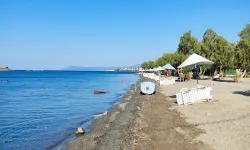 Seferihisar'ın durgun denizi ile ünlü plajı: ESHOT ile kolay ulaşacak, ağaçların gölgesinde serinleyeceksiniz