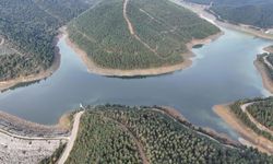 Bursa'da kuraklık alarmı: Tasarruf çağrısı geldi