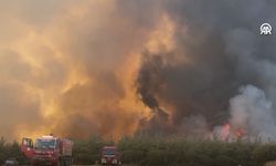 Tekirdağ'da başlayıp Çanakkale'ye sıçrayan yangın büyük panik yarattı