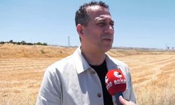 CHP'li Başarır'dan Erdoğan'ın konuşmasına tepki: Demokrasi diyor ama burada otokrasi var