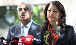 DEM heyeti, liderler turuna çıkıyor