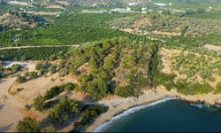 İzmir’in keşfedilmemiş cennet yeri: Elvan Koyu
